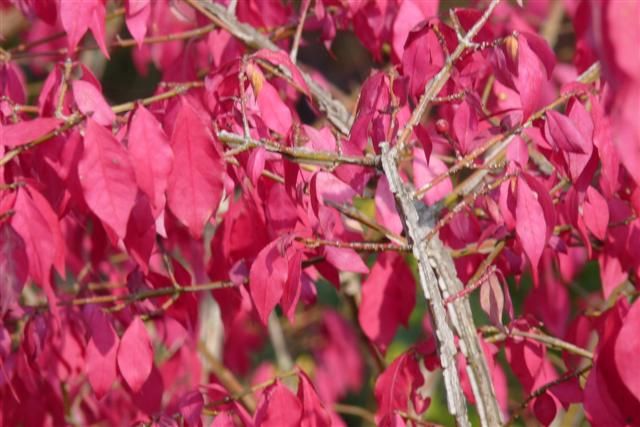 ���콺�� Ŭ���Ͻø� �����̹����� ���Ǽ� �ֽ��ϴ�.