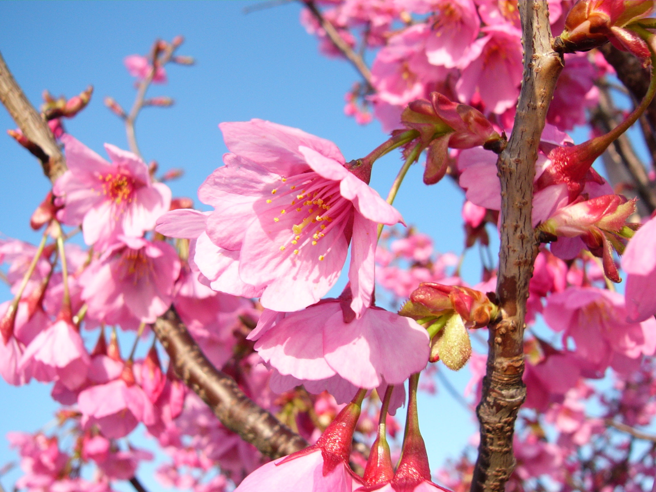 ���콺�� Ŭ���Ͻø� �����̹����� ���Ǽ� �ֽ��ϴ�.