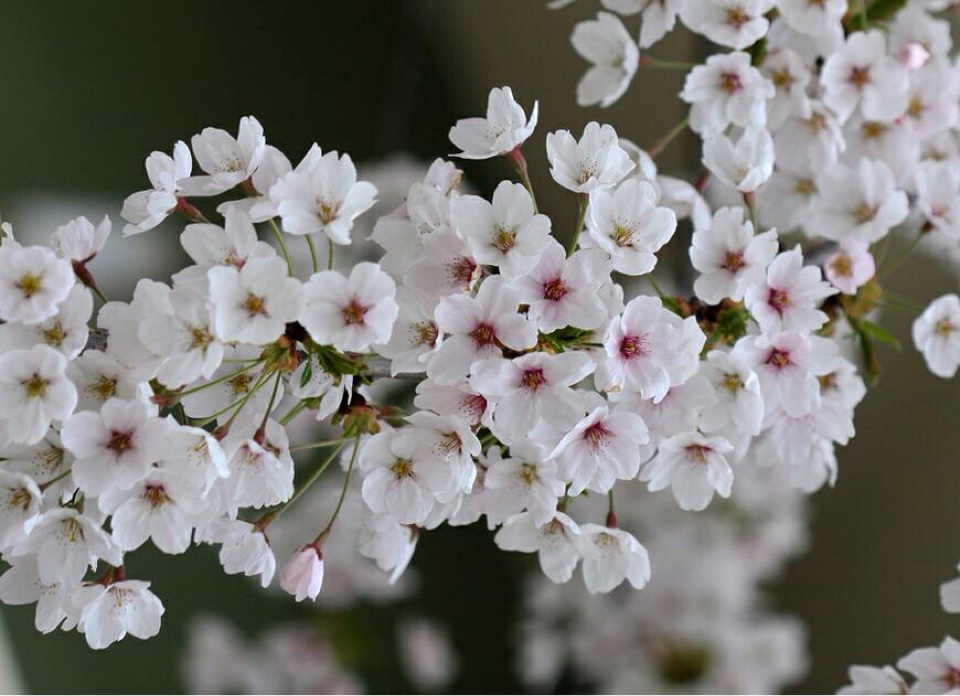���콺�� Ŭ���Ͻø� �����̹����� ���Ǽ� �ֽ��ϴ�.