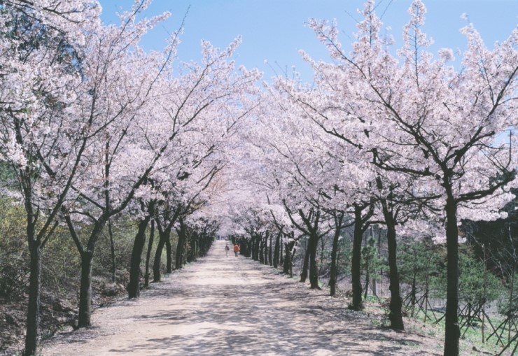 ���콺�� Ŭ���Ͻø� �����̹����� ���Ǽ� �ֽ��ϴ�.