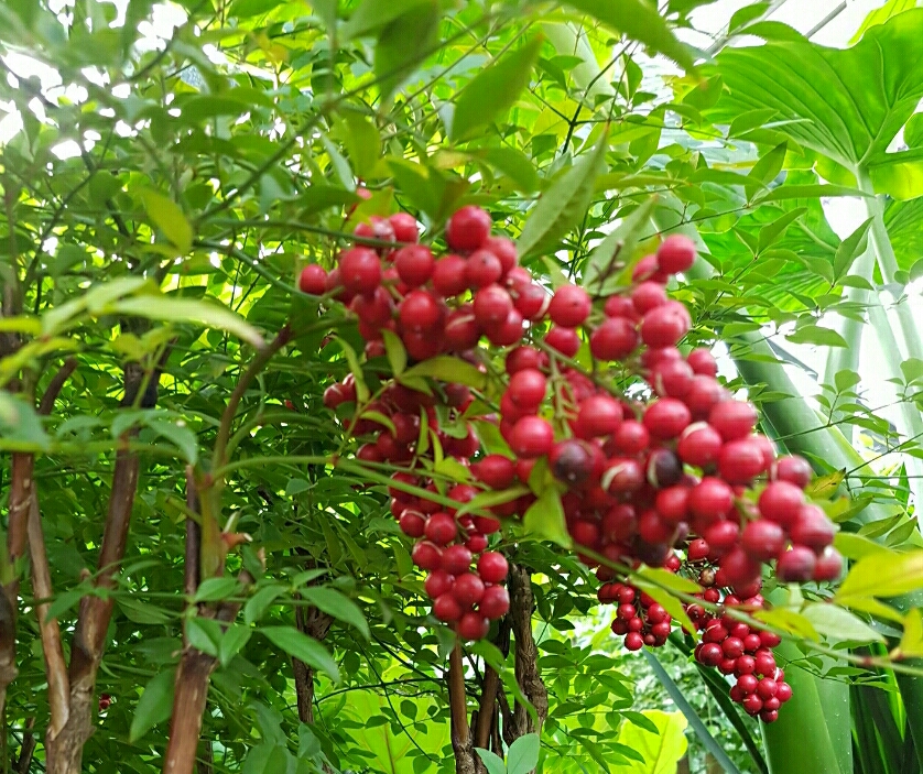 ���콺�� Ŭ���Ͻø� �����̹����� ���Ǽ� �ֽ��ϴ�.