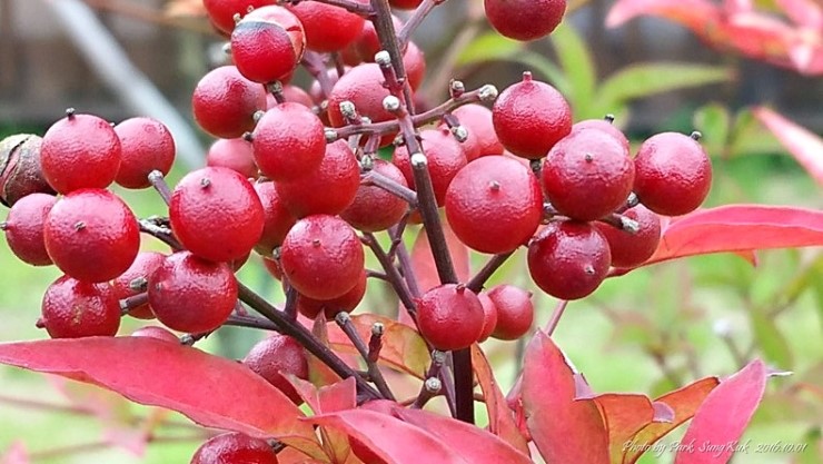 ���콺�� Ŭ���Ͻø� �����̹����� ���Ǽ� �ֽ��ϴ�.