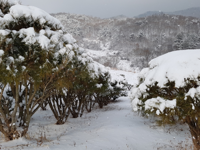 ���콺�� Ŭ���Ͻø� �����̹����� ���Ǽ� �ֽ��ϴ�.