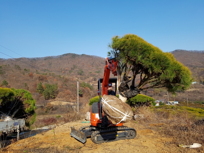 ���콺�� Ŭ���Ͻø� �����̹����� ���Ǽ� �ֽ��ϴ�.