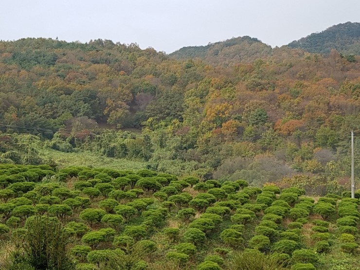 ���콺�� Ŭ���Ͻø� �����̹����� ���Ǽ� �ֽ��ϴ�.