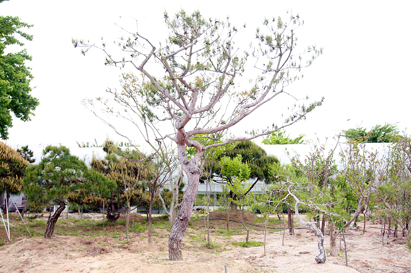 ���콺�� Ŭ���Ͻø� �����̹����� ���Ǽ� �ֽ��ϴ�.